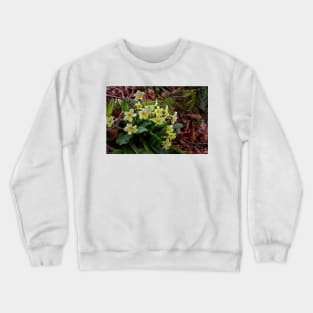 Wild Primroses Crewneck Sweatshirt